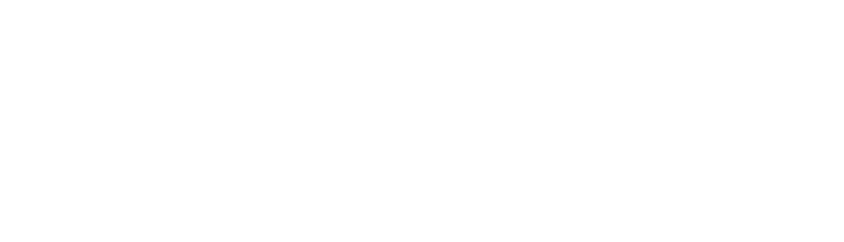 NL20ST-SPOOLロゴ